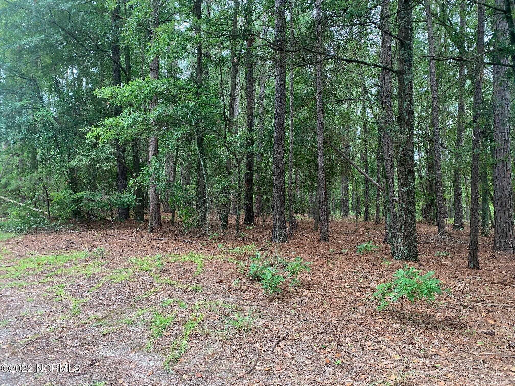Dundee, 100347467, Laurinburg, Vacant Land / Lot,  for sale, Realty World Graham/Grubbs & Associates